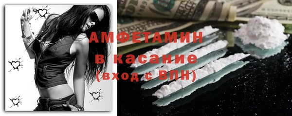 шишки Белокуриха