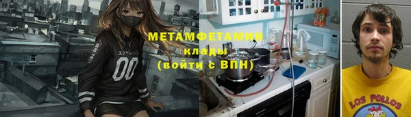 шишки Белокуриха
