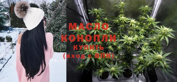 шишки Белокуриха