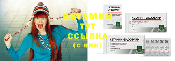 шишки Белокуриха