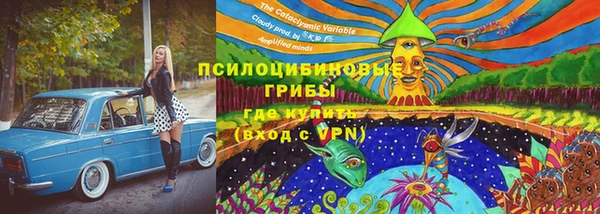 прущая мука Белоозёрский
