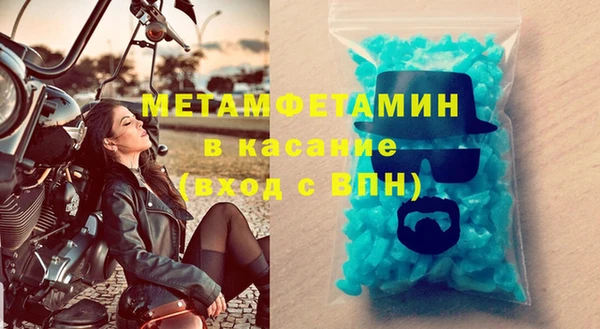 шишки Белокуриха