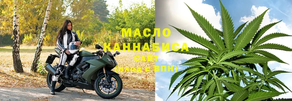 шишки Белокуриха