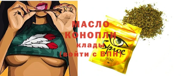 шишки Белокуриха